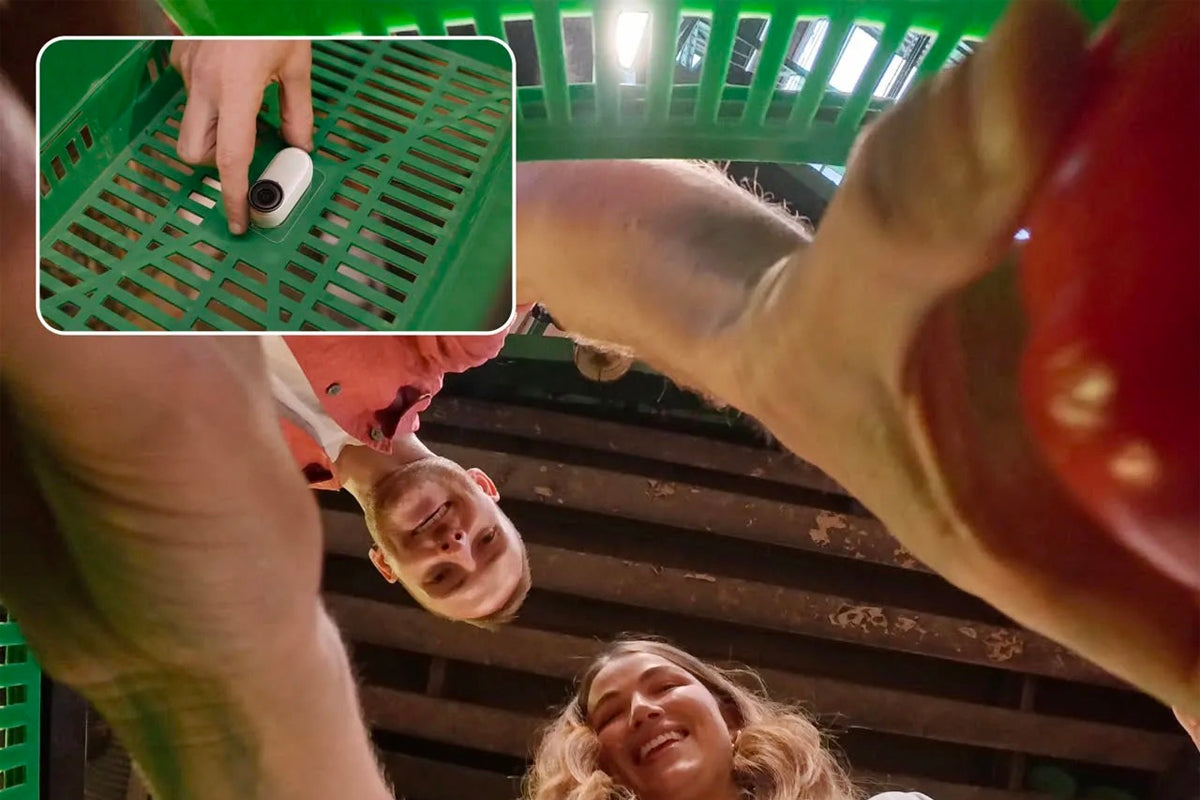 GO 3/GO 3S lepicí podložka 10 ks